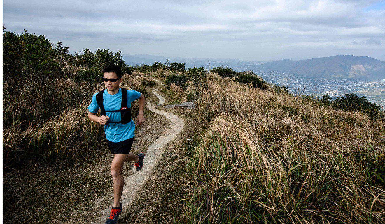 Stone in grass terrain