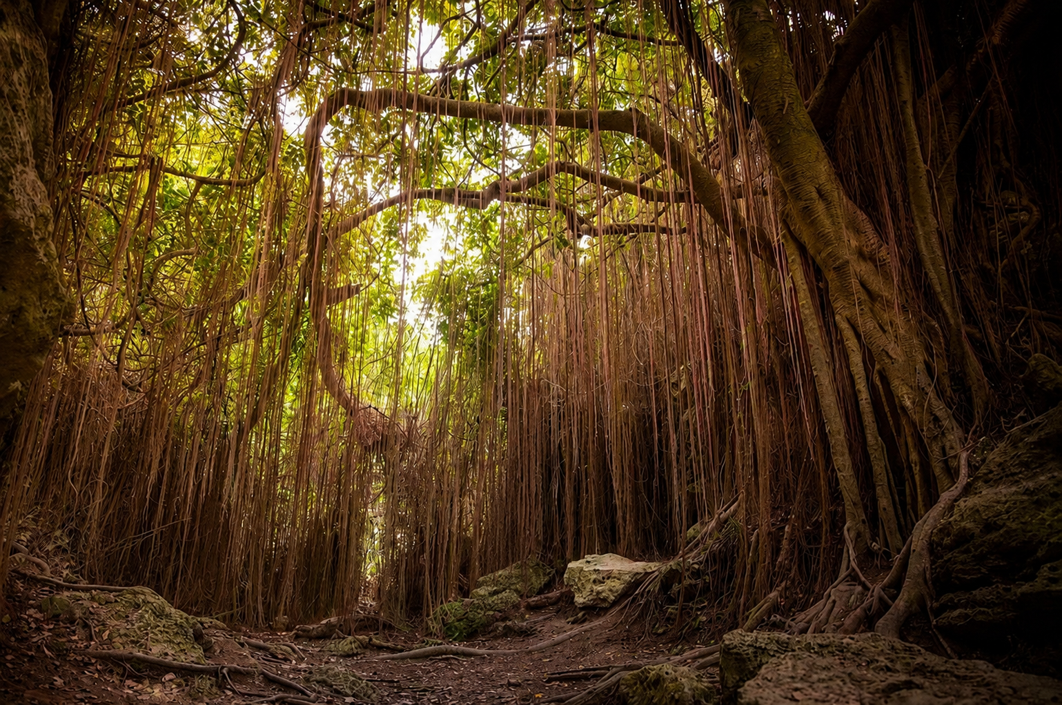 Scenic photo taken from the Kaohsiung WayMe TTT route in Shoushan