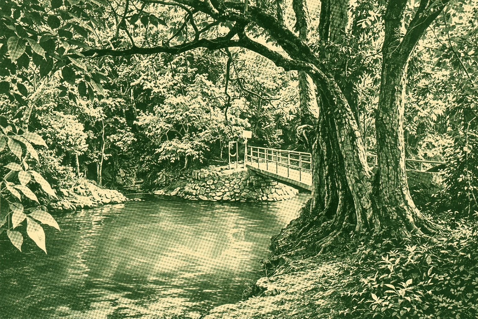Hong Kong mountain trail landscape in WayMe's manga-inspired style