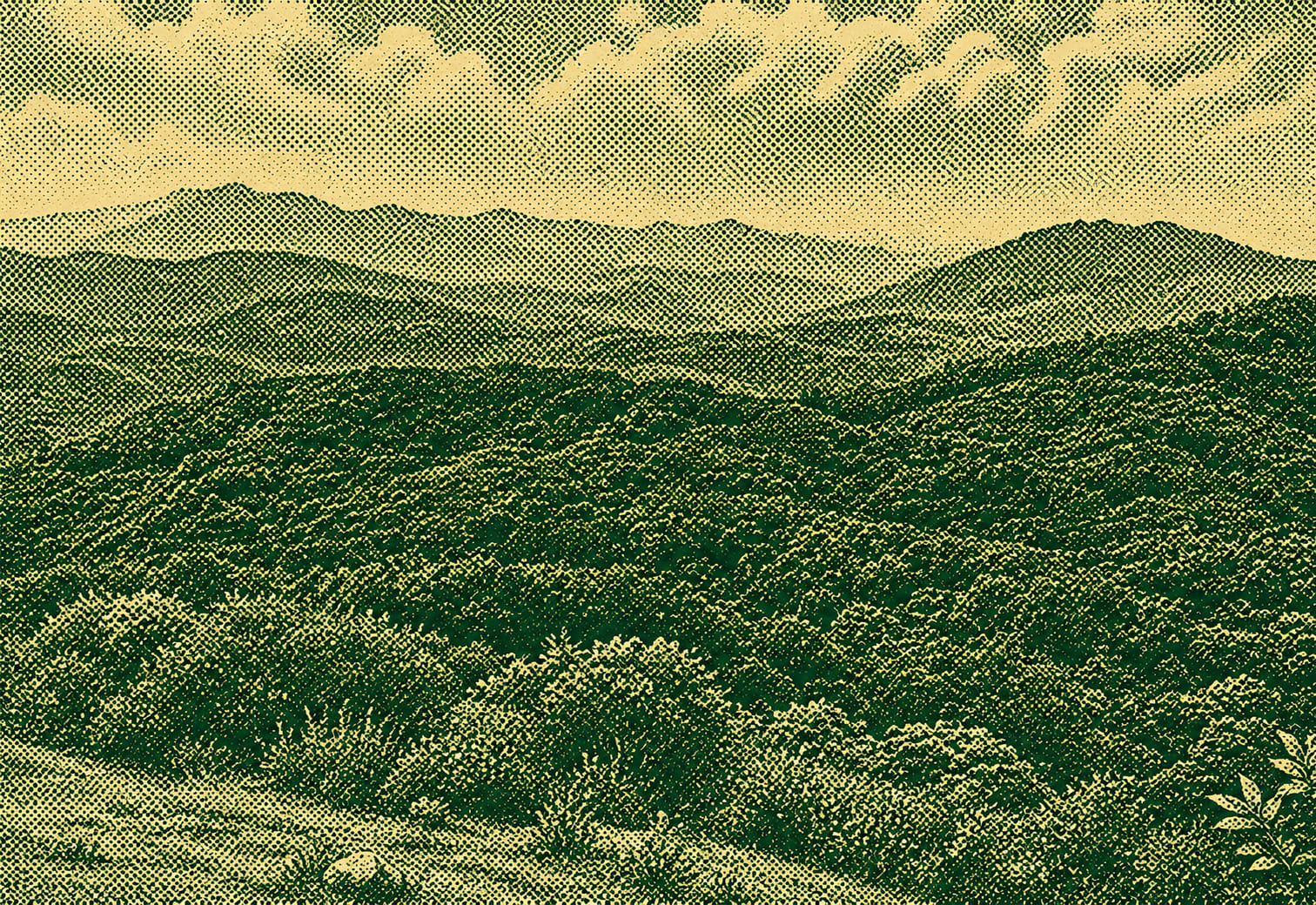 Tinworth Trail Section Six in Hong Kong, shown in WayMe's manga-inspired landscape style