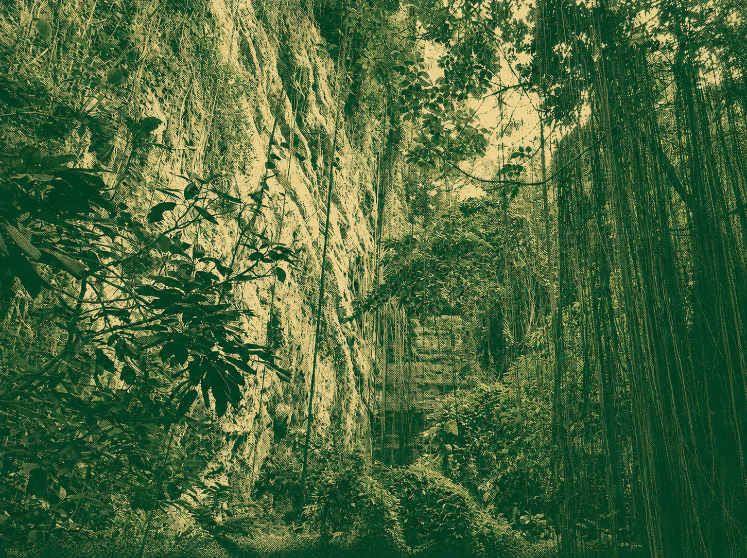Steep forest and rock landscape along a Taiwan hiking route