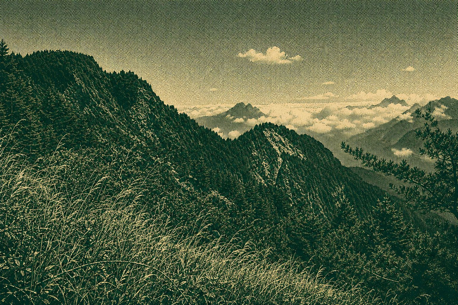 Layered alpine mountain ridges in Taiwan