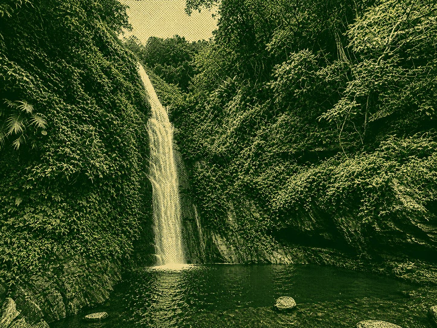 Forest waterfall and pool beside a Taiwan hiking route